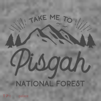 Pisgah National Forest Park North Carolina Toddler Hoodie thumb 2