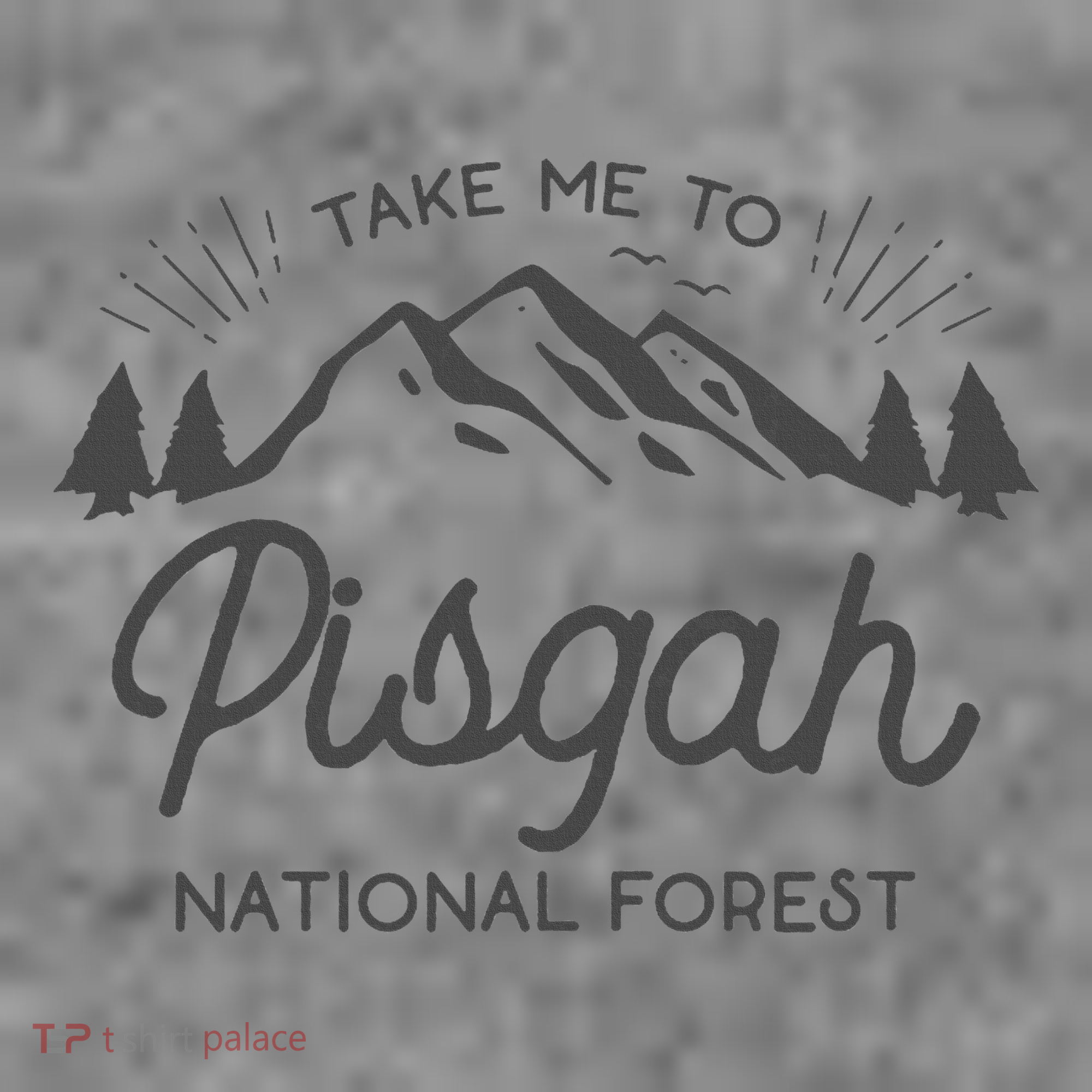 Pisgah National Forest Park North Carolina Toddler Hoodie