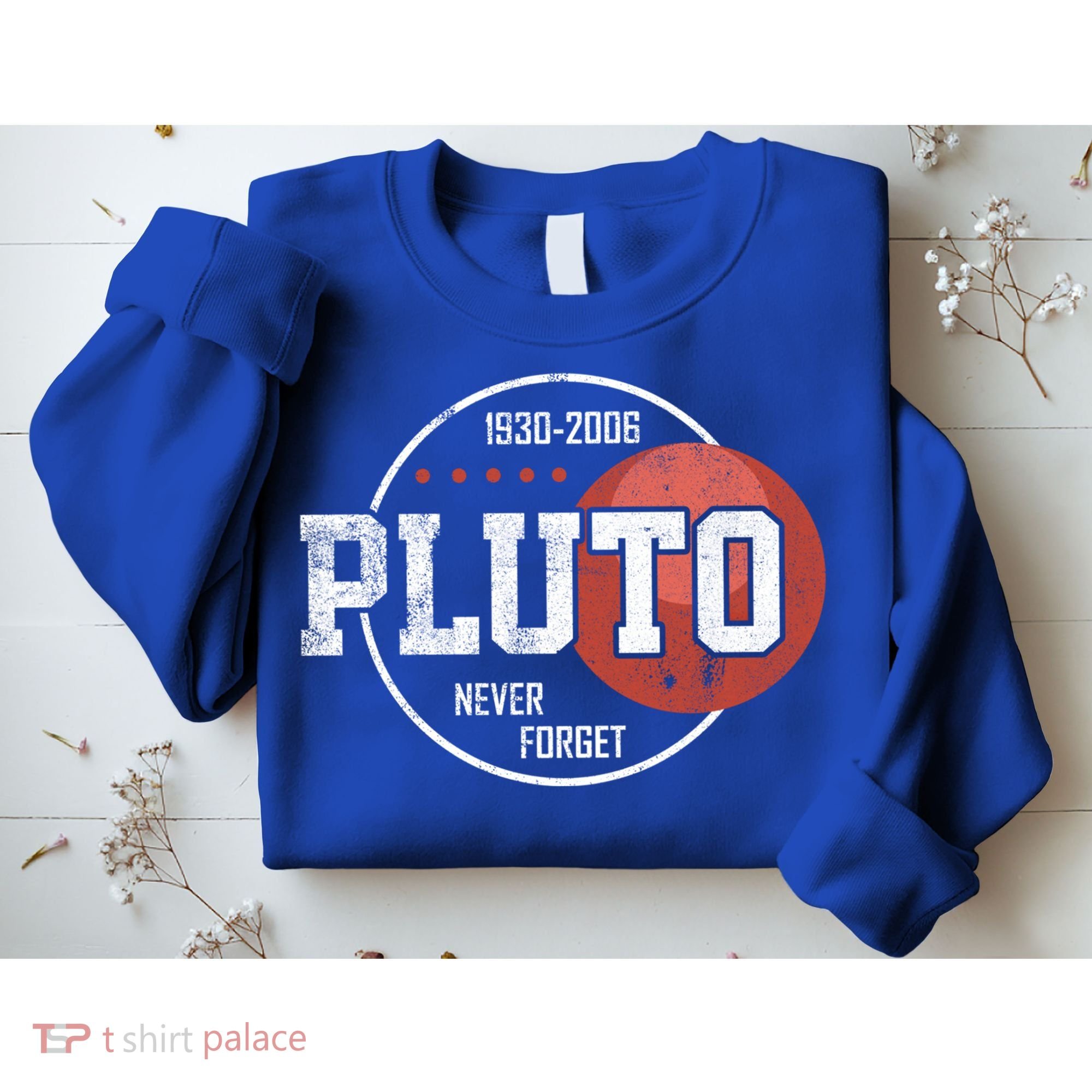 Pluto Never Forgegift Astronomy Space Nerd Pluto Great Gift Sweatshirt