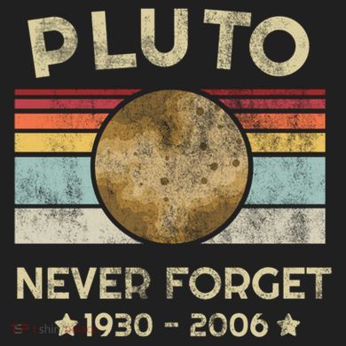 Pluto Never Forget Retro Funny Vintage Gift Port Authority Crush Ripstop Backpack