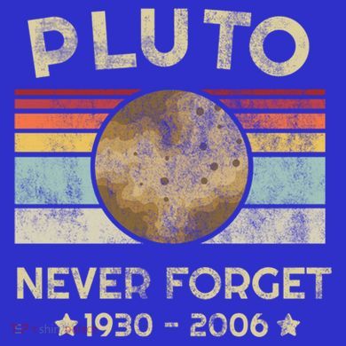 Pluto Never Forget Retro Funny Vintage Gift Magnet