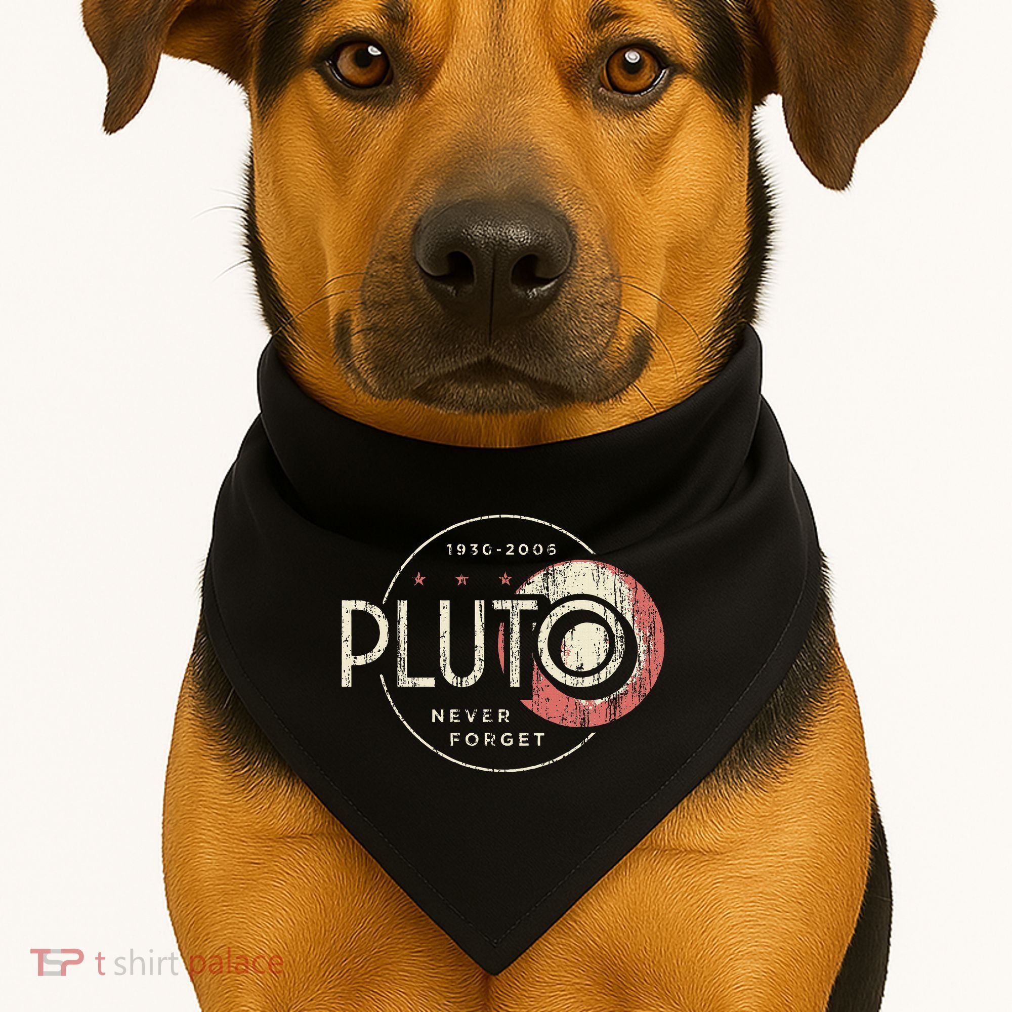 Pluto Never Forget Funny Pluto Pluto Lover Pluto USA-Made Doggie Bandana
