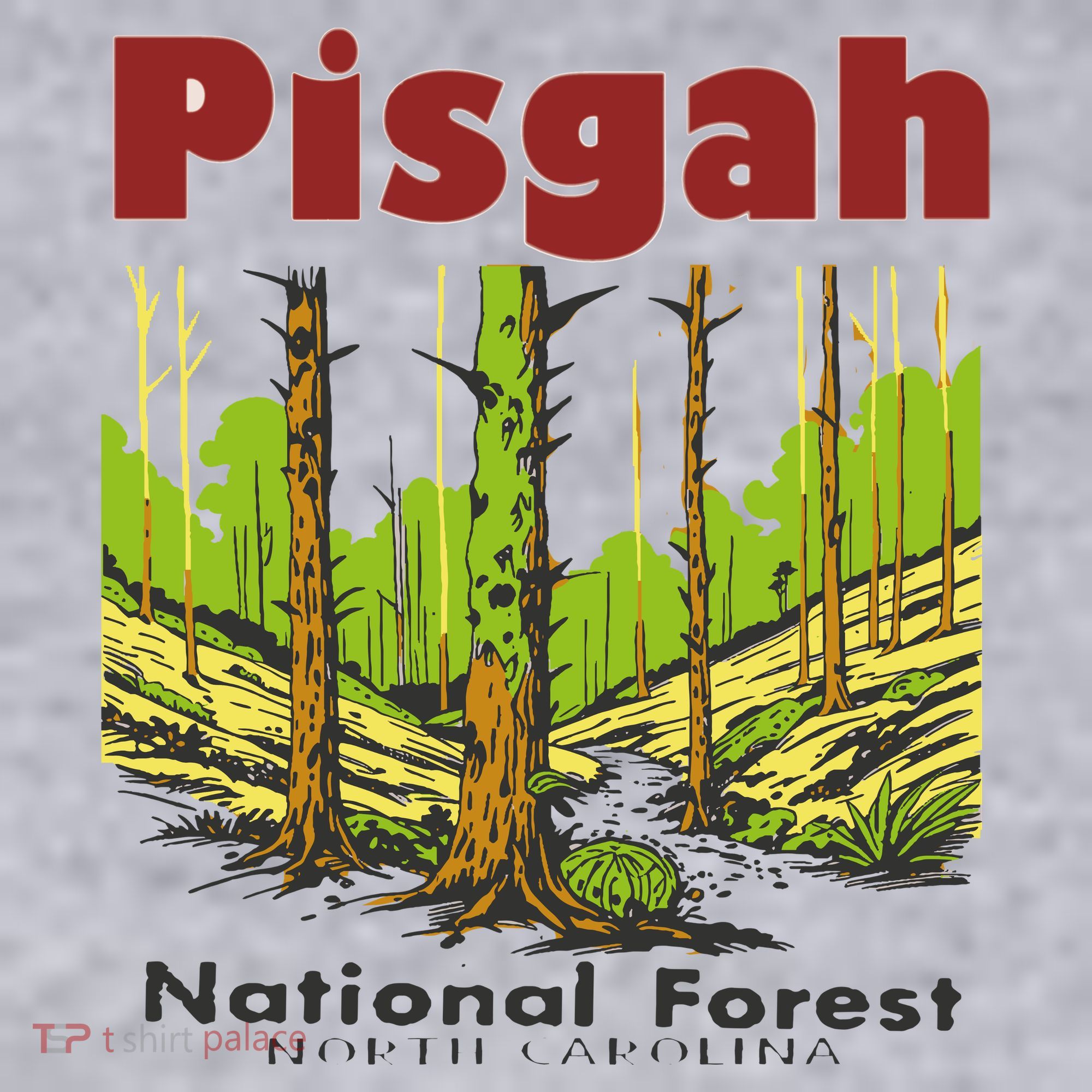 Pisgah National Forest Women's Sweatshirt