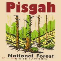 Pisgah National Forest Tote Bag thumb 4