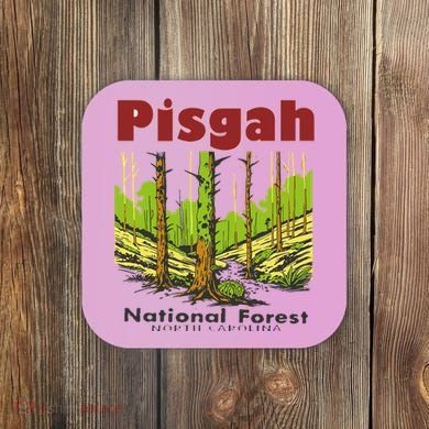 Pisgah National Forest Coaster