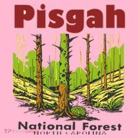 Pisgah National Forest Coaster thumb 2