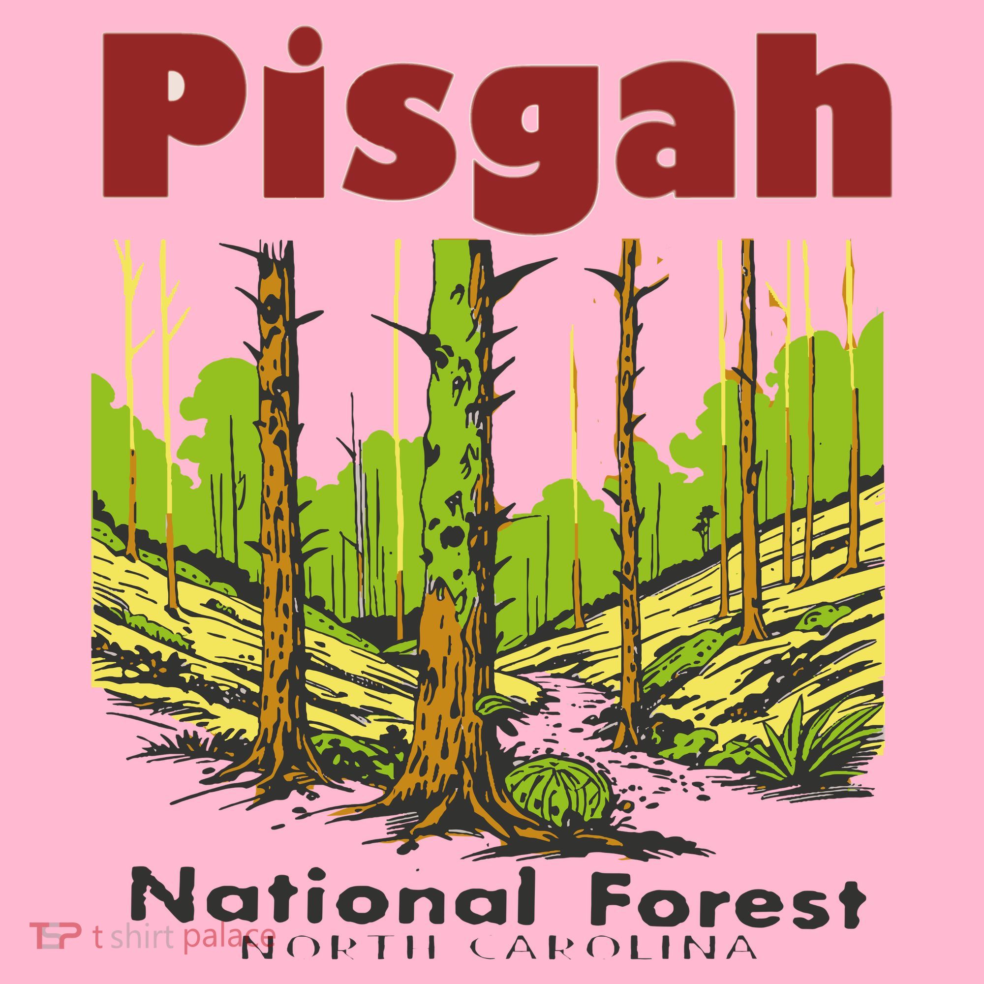 Pisgah National Forest Coaster
