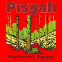 Pisgah National Forest Santa Hat thumb 1