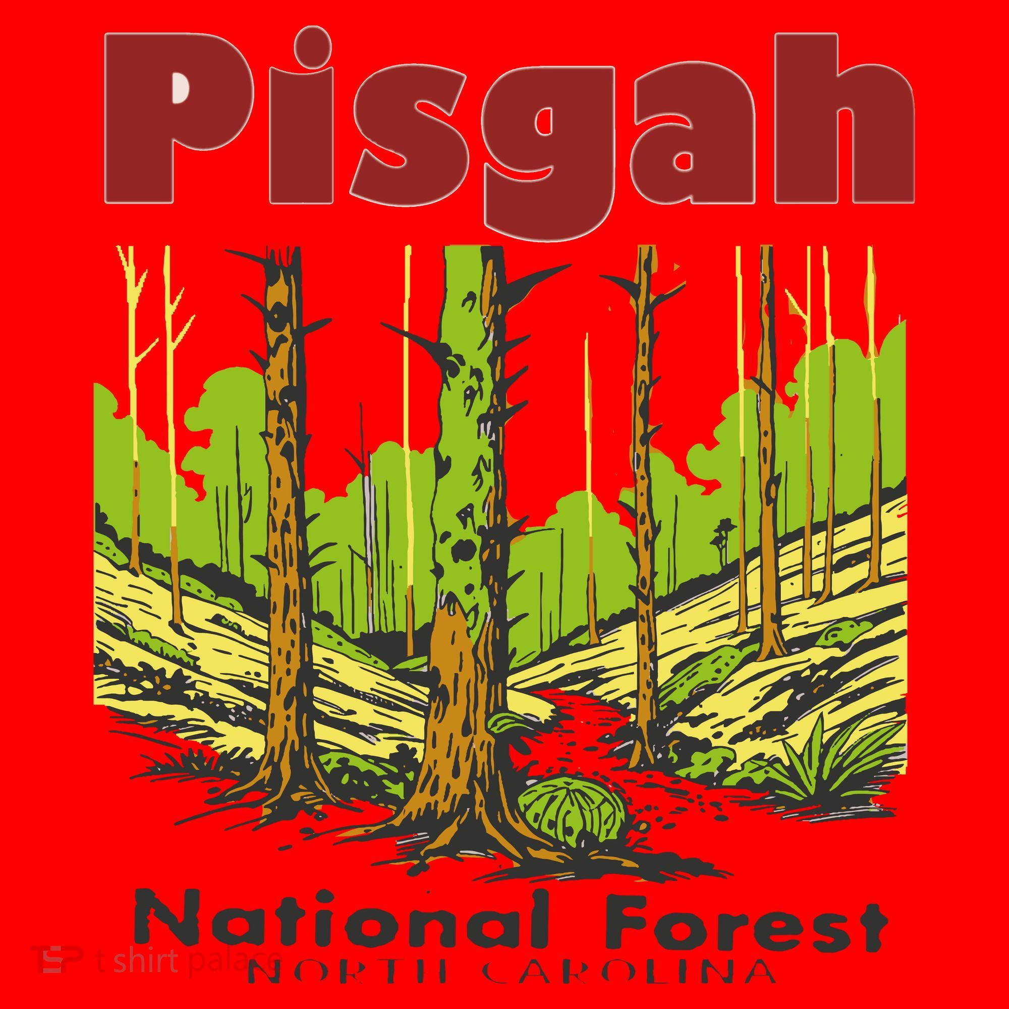 Pisgah National Forest Santa Hat
