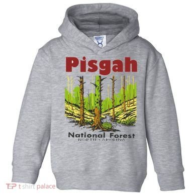 Pisgah National Forest Toddler Hoodie
