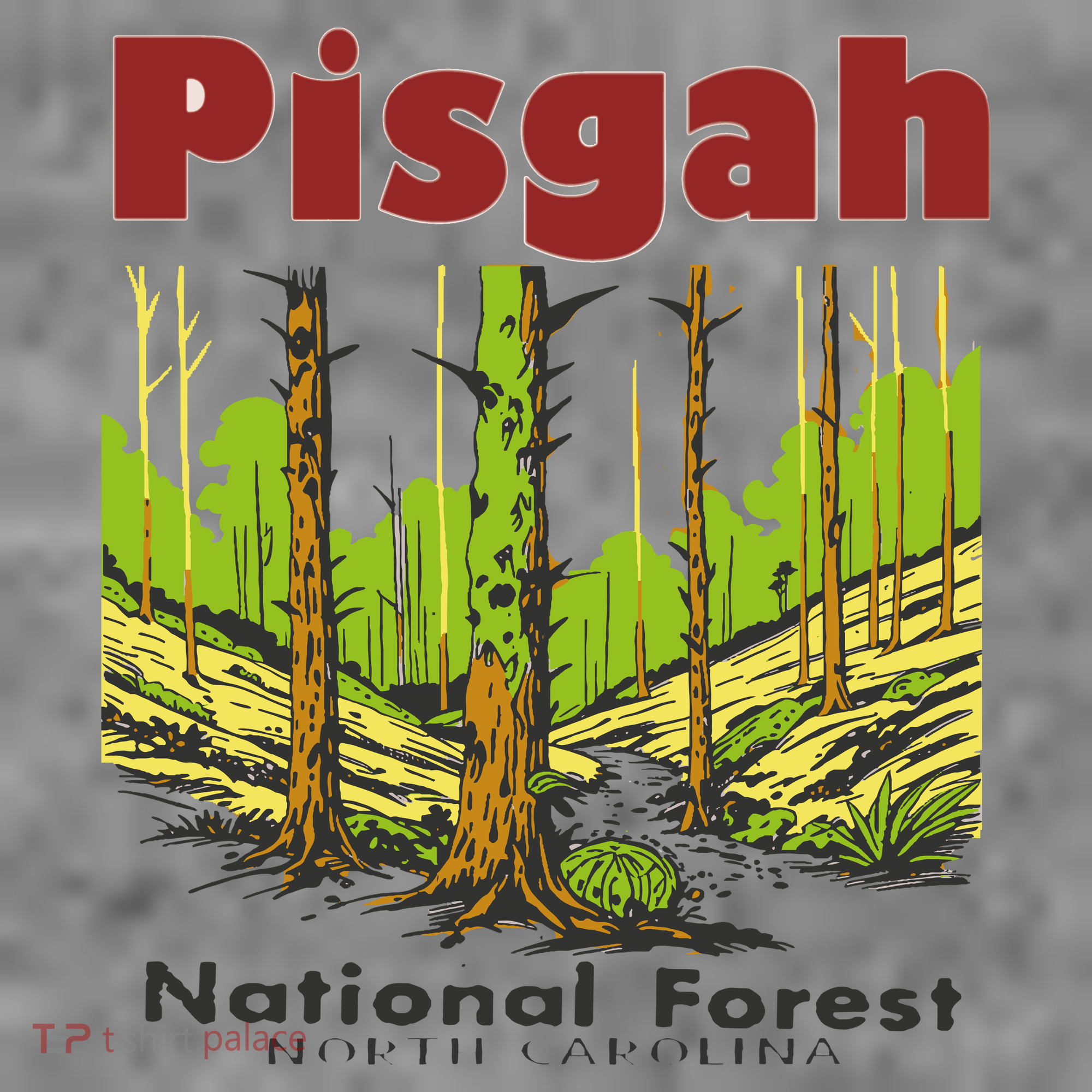 Pisgah National Forest Toddler Hoodie