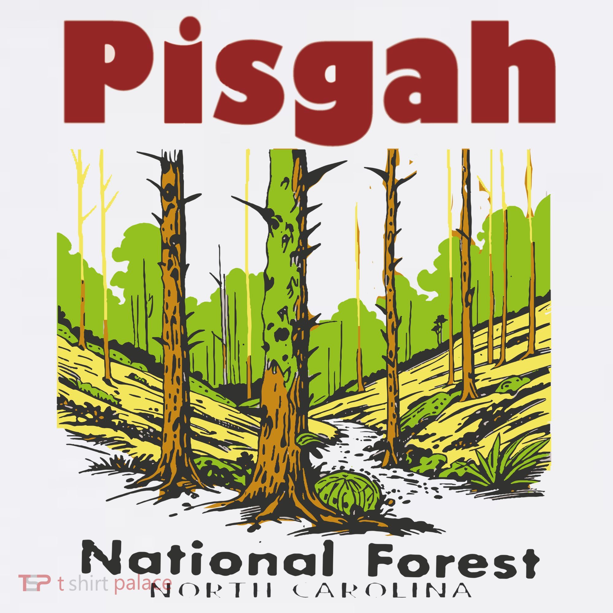 Pisgah National Forest T-Shirt