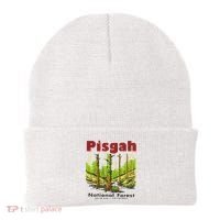 Pisgah National Forest Beanie thumb 0