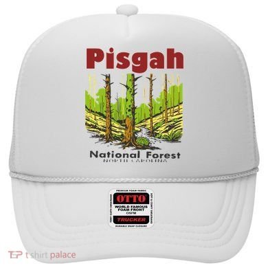 Pisgah National Forest Hat
