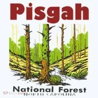 Pisgah National Forest Hat thumb 2