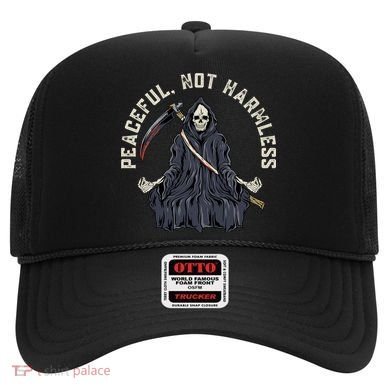 Peaceful, Not Harmless Peaceful Not Harmless Hat