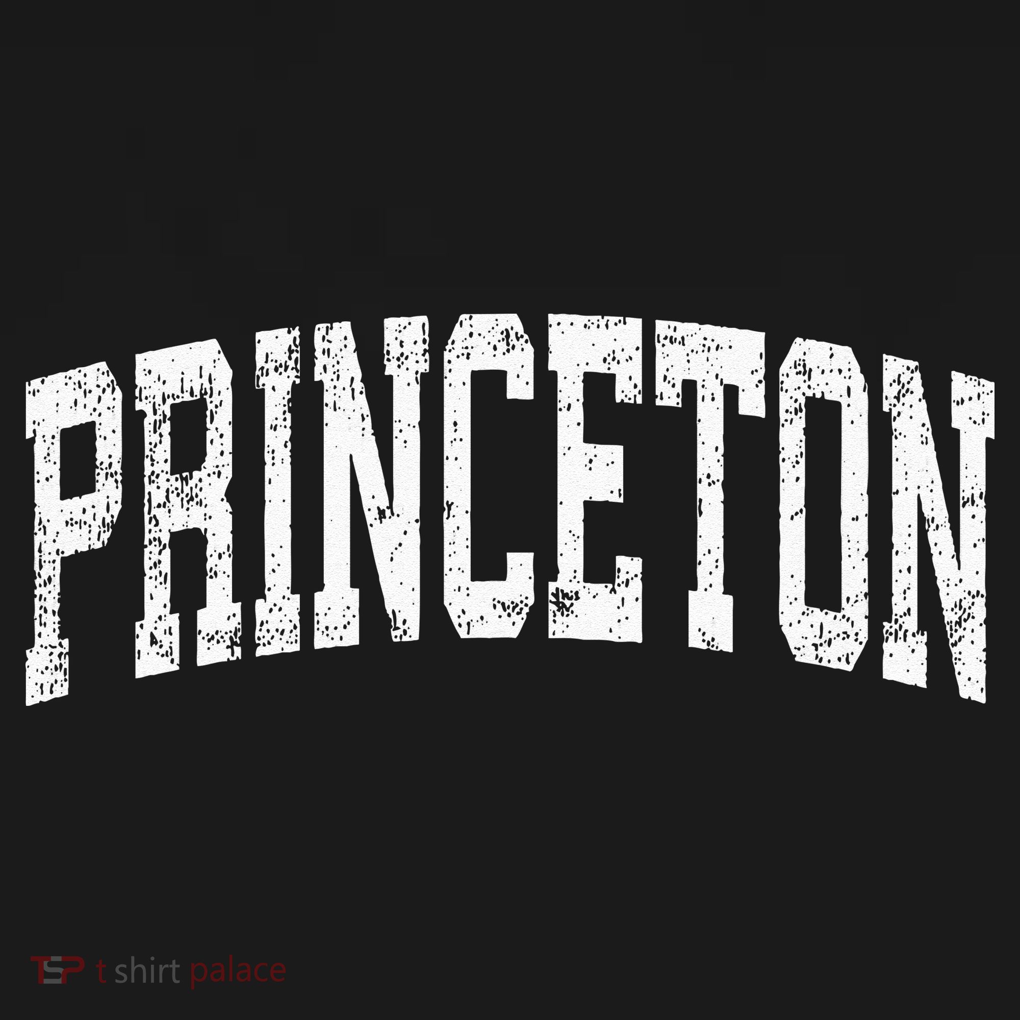 Princeton New Jersey NJ Vintage Athletic Sports T-Shirt