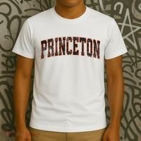 Princeton New Jersey Nj Vintage Athletic Sports T-Shirt thumb 3