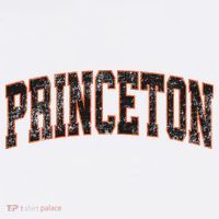 Princeton New Jersey Nj Vintage Athletic Sports T-Shirt thumb 7