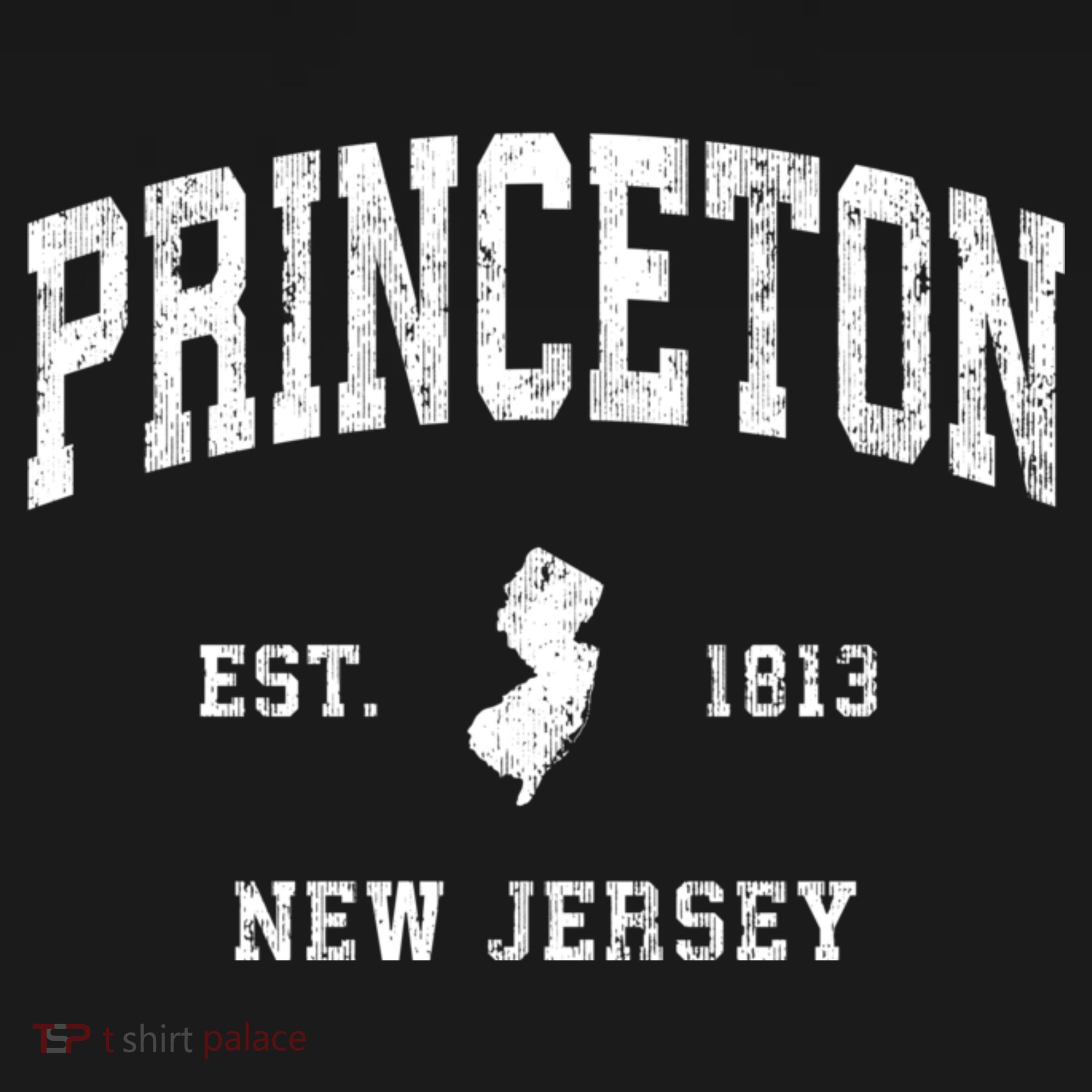 Princeton New Jersey Nj Vintage Athletic Sports T-Shirt