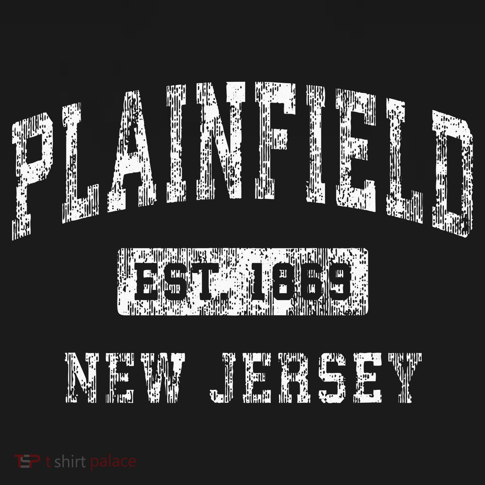 Plainfield New Jersey Nj Vintage Established Sports T-Shirt
