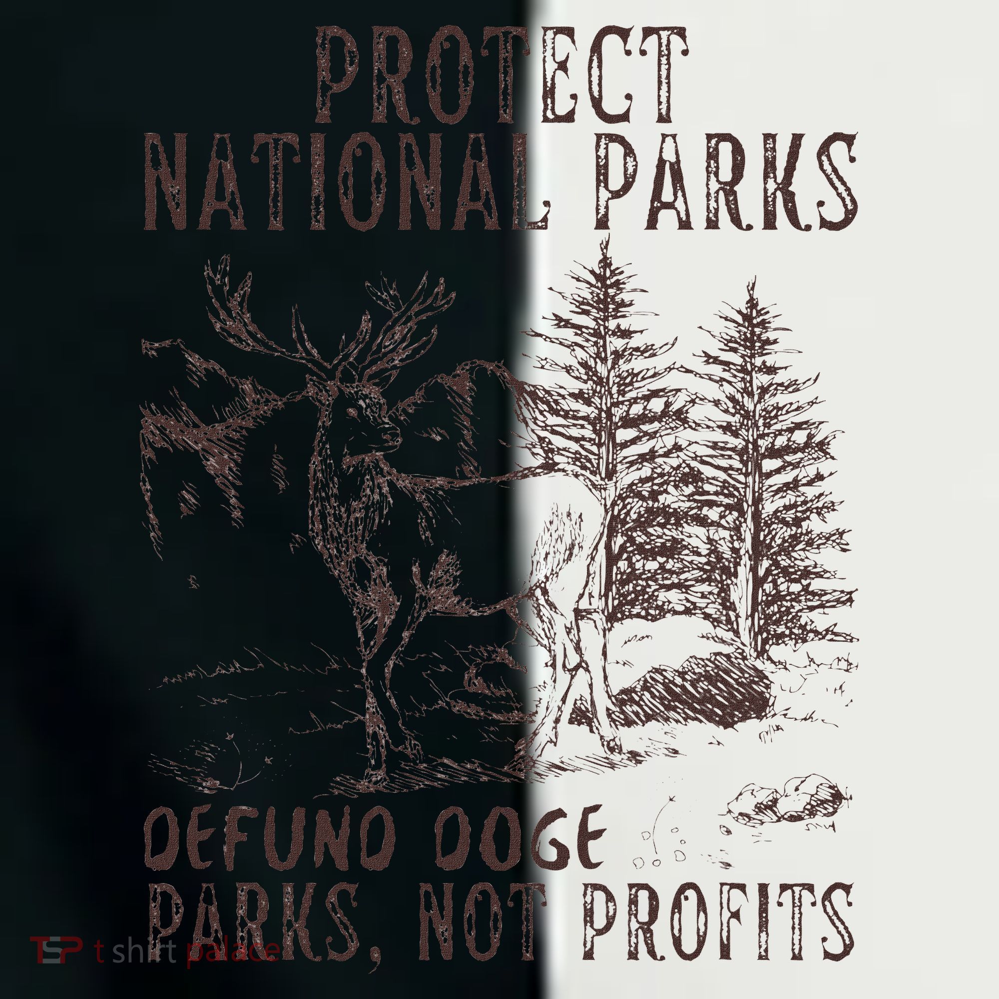 Protect National Parks Defund Doge Support Parks Not Profits Women's Tri-Blend 3/4-Sleeve Raglan Shirt