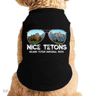 Punny Nice Tetons Teton Mountain Doggie Tank