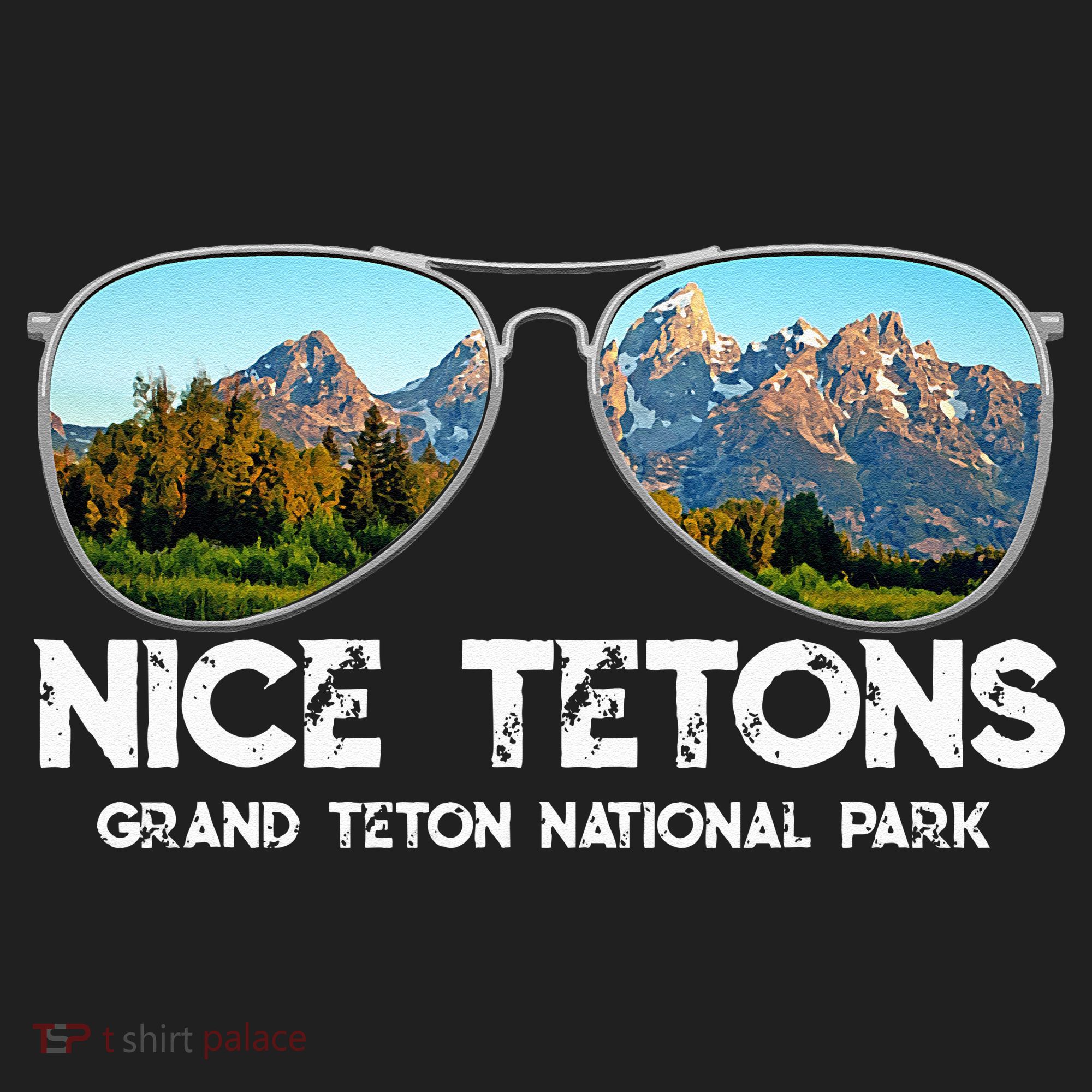 Punny Nice Tetons Teton Mountain Hat