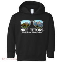 Punny Nice Tetons Teton Mountain Toddler Hoodie thumb 0