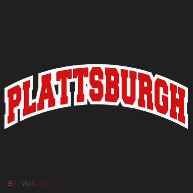 Plattsburgh New York Varsity Style Vintage Women's Dry Zone Grid Polo