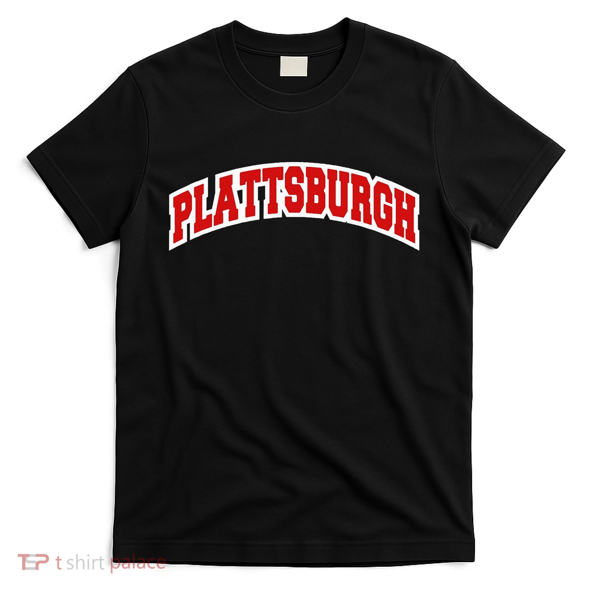 Plattsburgh New York Varsity Style Vintage T-Shirt