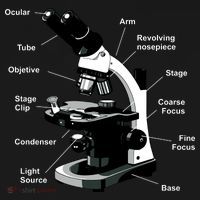 Parts Of A Microscope USA-Made Doggie Bandana thumb 2