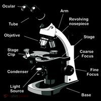 Parts Of A Microscope Women's Tank Top thumb 5