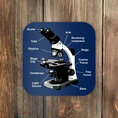 Coaster
