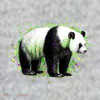 Portrait Of A Panda Bear Pajama Set thumb 2