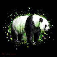 Portrait Of A Panda Bear Women's Hoodie thumb 2