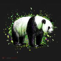 Portrait Of A Panda Bear Women's Tank Top thumb 5