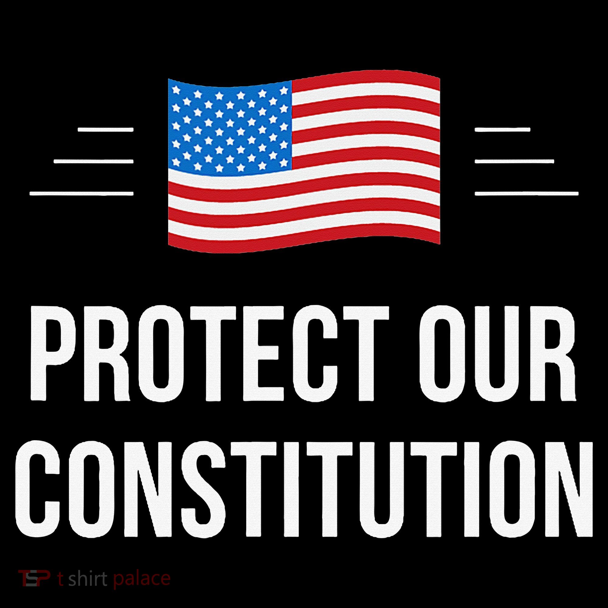 Protect Our Constitution T-Shirt