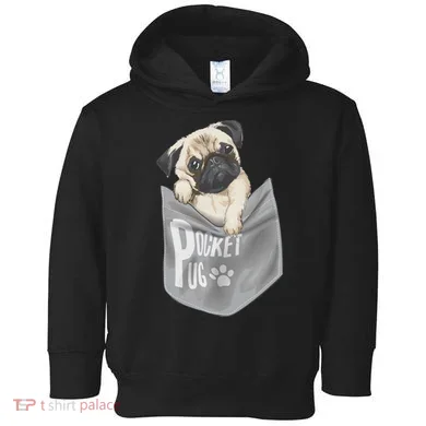 Toddler Hoodie
