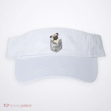 Visor