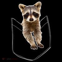 Pocket Raccoon Funny Ornament thumb 1