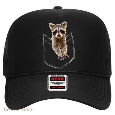 Pocket Raccoon Funny Hat