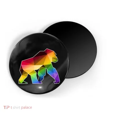 Magnet