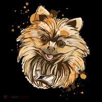 Pomeranian Dog Women's Hoodie thumb 2