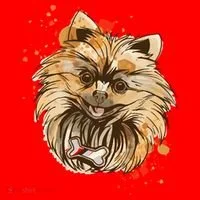 Pomeranian Dog Women's Tank Top thumb 5