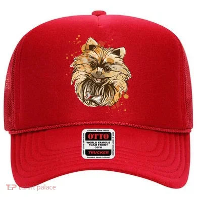 Pomeranian Dog Hat