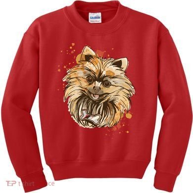 Pomeranian Dog Kids Sweatshirt