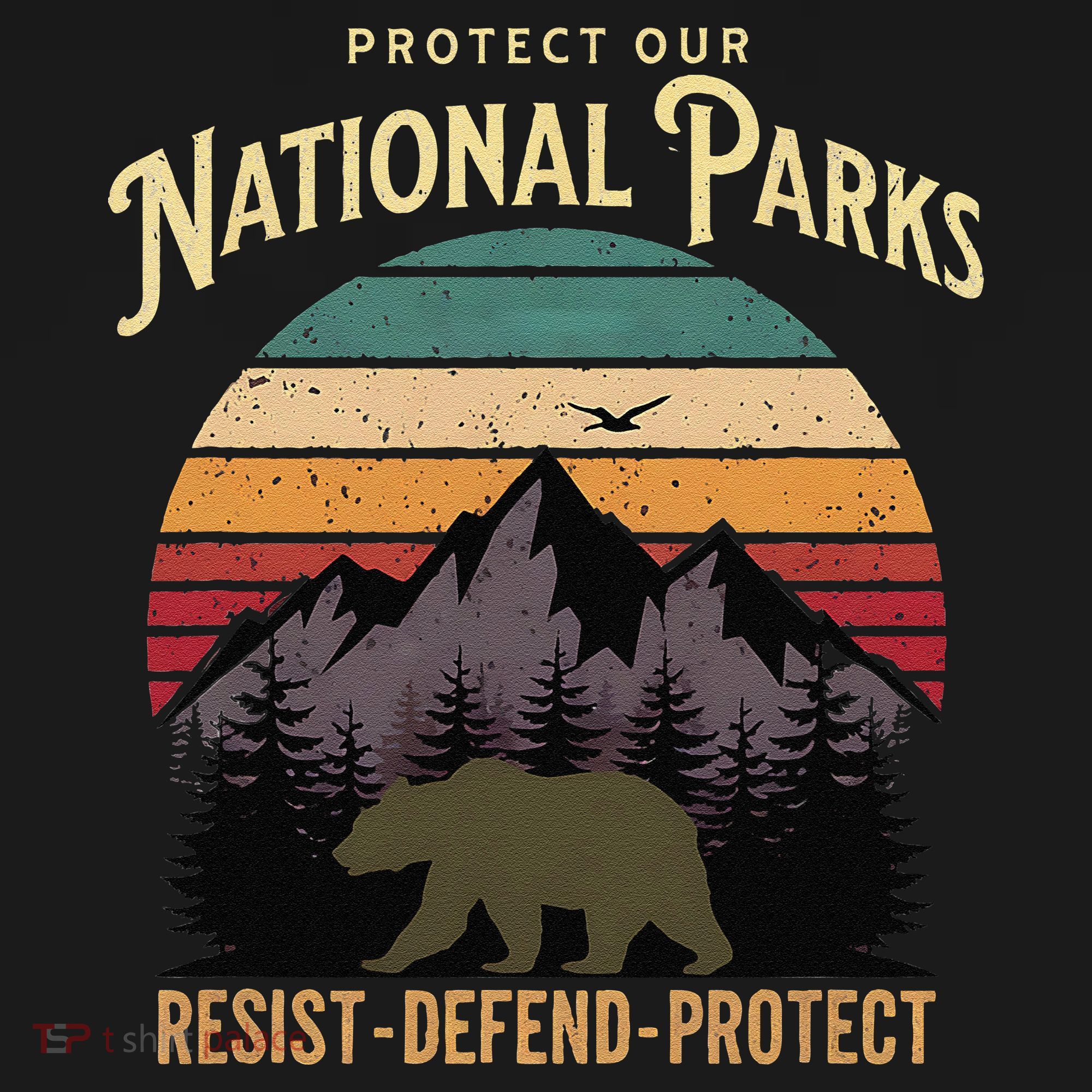 Protect Our National Parks Hiking Camping Souvenir Women's Tank Top