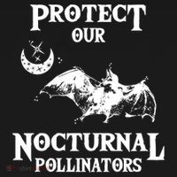 Protect Our Nocturnal Pollinators Gift Bat With Moon Art Cool Gift Women's Hoodie thumb 2
