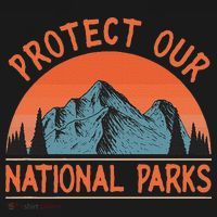 Protect Our National Parks Us Alt Resist Women's Hoodie thumb 2
